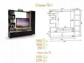 Стенка для гостиной ТВ-1 в Набережных Челнах - naberezhnye-chelny.mebel24.online | фото 2