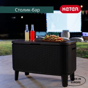 Стол Беви Бар (Bevy Bar Large Cool Bar), коричневый в Набережных Челнах - naberezhnye-chelny.mebel24.online | фото 4