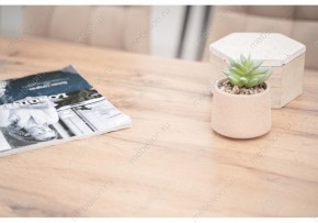 Стол обеденный Тринити Лофт 120 в Набережных Челнах - naberezhnye-chelny.mebel24.online | фото 6