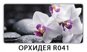 Стол раздвижной-бабочка Бриз с фотопечатью Доска D110 в Набережных Челнах - naberezhnye-chelny.mebel24.online | фото 20