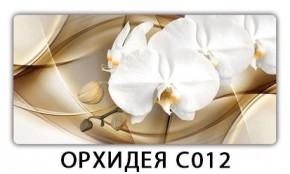 Стол раздвижной Трилогия с фотопечатью Доска D113 в Набережных Челнах - naberezhnye-chelny.mebel24.online | фото 13