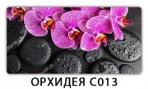 Стол раздвижной Трилогия с фотопечатью Доска D113 в Набережных Челнах - naberezhnye-chelny.mebel24.online | фото 14