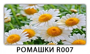 Стол раздвижной Трилогия с фотопечатью Доска D113 в Набережных Челнах - naberezhnye-chelny.mebel24.online | фото 15