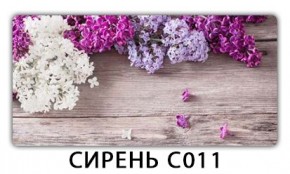 Стол раздвижной Трилогия с фотопечатью Доска D113 в Набережных Челнах - naberezhnye-chelny.mebel24.online | фото 16