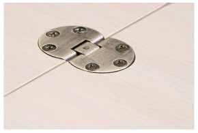 Стол-трансформер Престиж в Набережных Челнах - naberezhnye-chelny.mebel24.online | фото 10