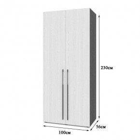 СТОУН С22 Шкаф 2-х створчатый (золотой дуб/графит) в Набережных Челнах - naberezhnye-chelny.mebel24.online | фото 2