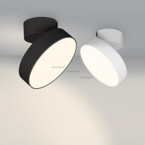 Светильник на штанге Arlight SP-RONDO-FLAP-R210-20W Day4000 (BK, 110 deg) 026453 в Набережных Челнах - naberezhnye-chelny.mebel24.online | фото 3