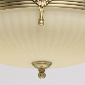 Светильник на штанге MW-Light Афродита 1 317011504 в Набережных Челнах - naberezhnye-chelny.mebel24.online | фото 4