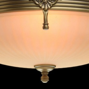 Светильник на штанге MW-Light Афродита 1 317011504 в Набережных Челнах - naberezhnye-chelny.mebel24.online | фото 5