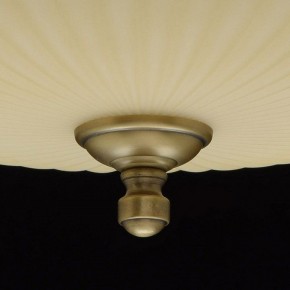 Светильник на штанге MW-Light Афродита 1 317011504 в Набережных Челнах - naberezhnye-chelny.mebel24.online | фото 9
