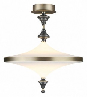 Светильник на штанге Odeon Light Ula 5404/43CL в Набережных Челнах - naberezhnye-chelny.mebel24.online | фото 2