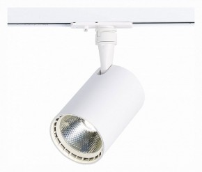 Светильник на штанге ST-Luce Cami ST351.536.20.36 в Набережных Челнах - naberezhnye-chelny.mebel24.online | фото 2