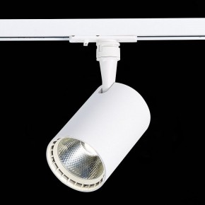 Светильник на штанге ST-Luce Cami ST351.536.20.36 в Набережных Челнах - naberezhnye-chelny.mebel24.online | фото 6