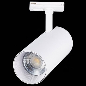 Светильник на штанге ST-Luce Mono ST350.546.30.36 в Набережных Челнах - naberezhnye-chelny.mebel24.online | фото 6