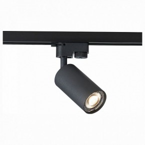 Светильник на штанге ST-Luce Solt ST300.406.01 в Набережных Челнах - naberezhnye-chelny.mebel24.online | фото 1