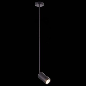 Светильник на штанге ST-Luce Sormano SL1206.403.01 в Набережных Челнах - naberezhnye-chelny.mebel24.online | фото 3