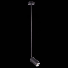 Светильник на штанге ST-Luce Sormano SL1206.403.01 в Набережных Челнах - naberezhnye-chelny.mebel24.online | фото 4