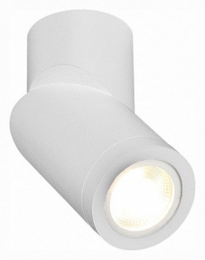 Светильник на штанге ST-Luce ST650 ST650.502.01 в Набережных Челнах - naberezhnye-chelny.mebel24.online | фото 3