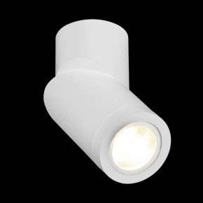 Светильник на штанге ST-Luce ST650 ST650.502.01 в Набережных Челнах - naberezhnye-chelny.mebel24.online | фото 4