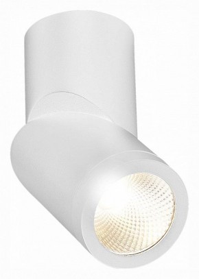 Светильник на штанге ST-Luce ST650 ST650.532.10 в Набережных Челнах - naberezhnye-chelny.mebel24.online | фото 3