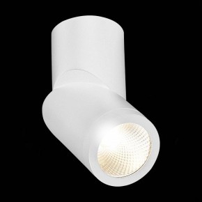 Светильник на штанге ST-Luce ST650 ST650.532.10 в Набережных Челнах - naberezhnye-chelny.mebel24.online | фото 5