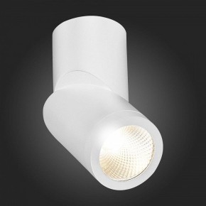 Светильник на штанге ST-Luce ST650 ST650.532.10 в Набережных Челнах - naberezhnye-chelny.mebel24.online | фото 6