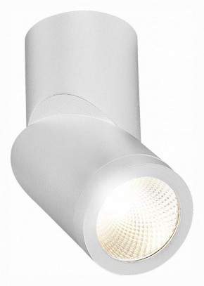 Светильник на штанге ST-Luce ST650 ST650.542.10 в Набережных Челнах - naberezhnye-chelny.mebel24.online | фото 3