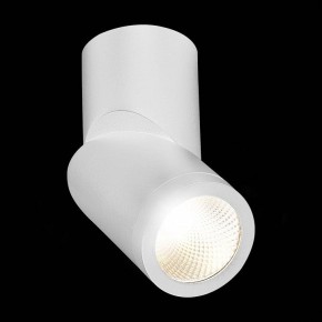 Светильник на штанге ST-Luce ST650 ST650.542.10 в Набережных Челнах - naberezhnye-chelny.mebel24.online | фото 5