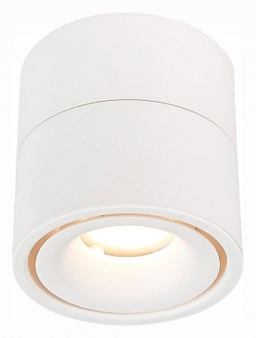Светильник на штанге ST-Luce ST652 ST652.532.12 в Набережных Челнах - naberezhnye-chelny.mebel24.online | фото 2