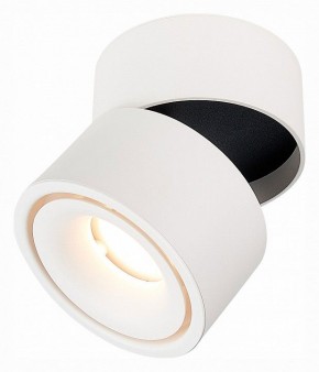 Светильник на штанге ST-Luce ST652 ST652.532.12 в Набережных Челнах - naberezhnye-chelny.mebel24.online | фото 3