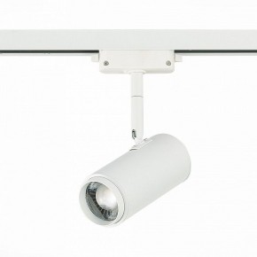 Светильник на штанге ST-Luce Zoom ST600.536.12 в Набережных Челнах - naberezhnye-chelny.mebel24.online | фото 3