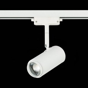 Светильник на штанге ST-Luce Zoom ST600.536.12 в Набережных Челнах - naberezhnye-chelny.mebel24.online | фото 5