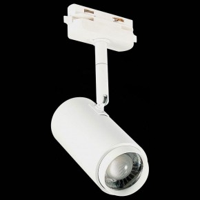 Светильник на штанге ST-Luce Zoom ST600.536.12 в Набережных Челнах - naberezhnye-chelny.mebel24.online | фото 6