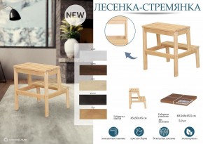 Табурет Стремянка в Набережных Челнах - naberezhnye-chelny.mebel24.online | фото 6