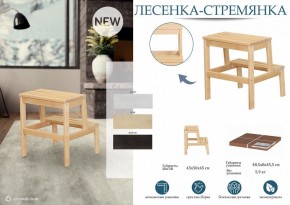 Табурет Стремянка в Набережных Челнах - naberezhnye-chelny.mebel24.online | фото 4