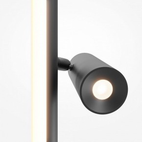 Торшер Maytoni Thin MOD395FL-L28B3K в Набережных Челнах - naberezhnye-chelny.mebel24.online | фото 6