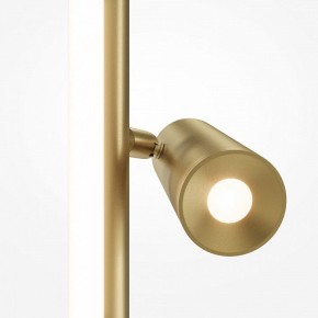 Торшер Maytoni Thin MOD395FL-L28BS3K в Набережных Челнах - naberezhnye-chelny.mebel24.online | фото 5
