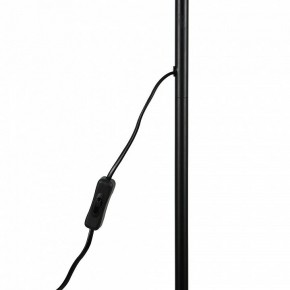 Торшер Uniel UML-T701 UL-00010188 в Набережных Челнах - naberezhnye-chelny.mebel24.online | фото 8