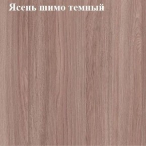 Вешалка для одежды (Ясень шимо темный) в Набережных Челнах - naberezhnye-chelny.mebel24.online | фото 2