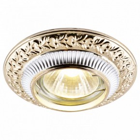 Встраиваемый светильник Arte Lamp Occhio A5280PL-1SG в Набережных Челнах - naberezhnye-chelny.mebel24.online | фото